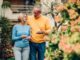 mature couple enjoying a stroll