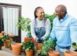 couple gardening