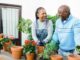 couple gardening